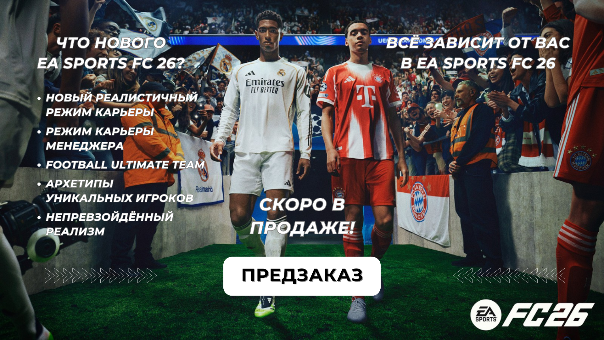 Баннерkkd2